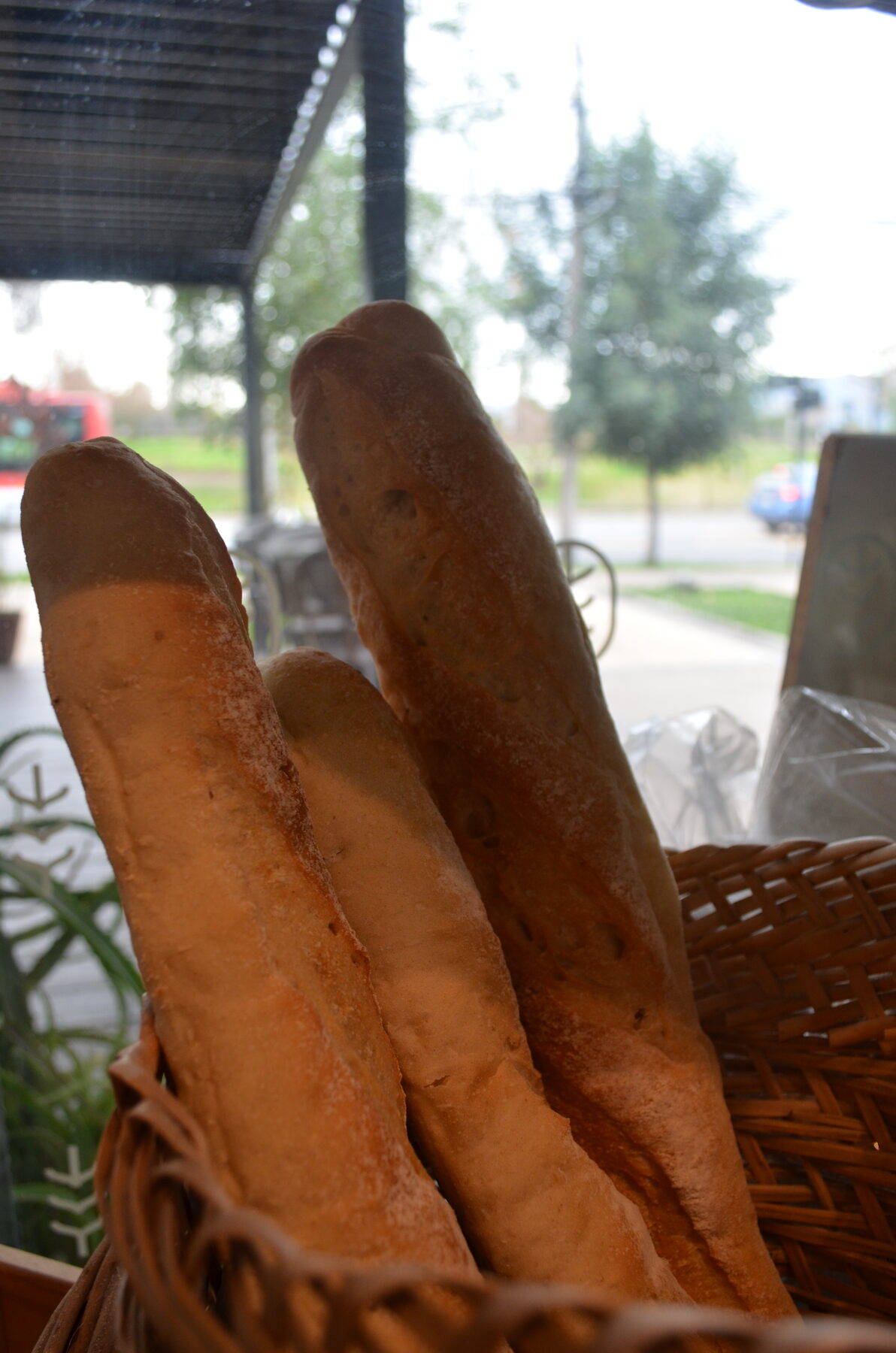 Baguettes recién horneadas Espiga