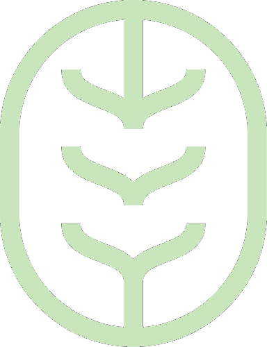 Espiga